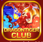 Dragon Tiger Club icon